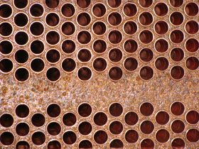 ������{(di��o)��������ϴǰ